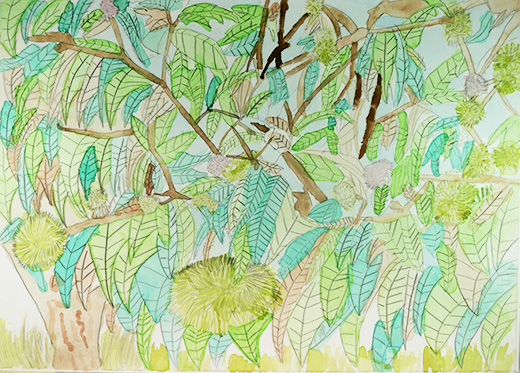 大きなくりの木