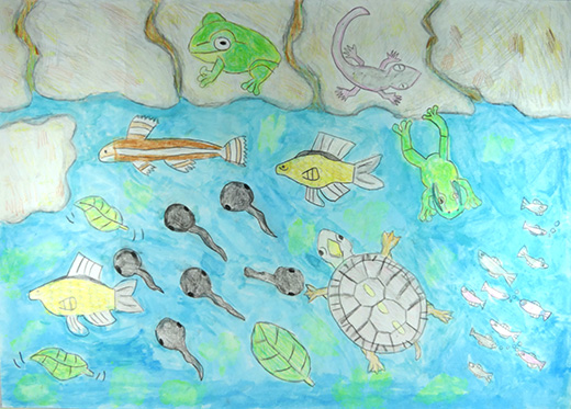 命をはぐくむ里山の水田