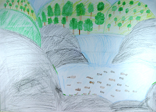 家の前のキレイな川