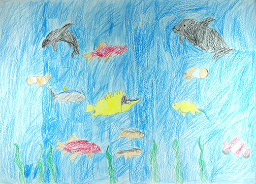 水をきれいにしよう