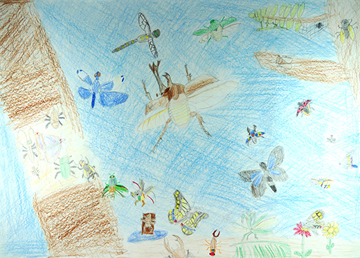 昔のようなゆたかな自然