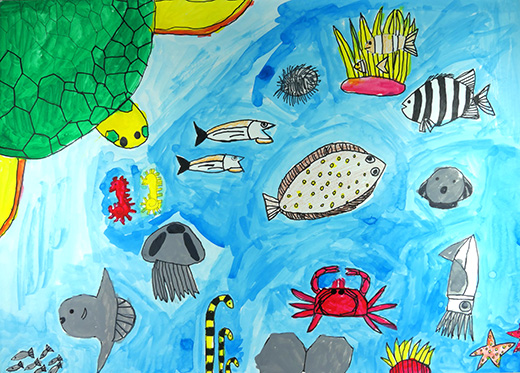 きれいな海と海の生きもの