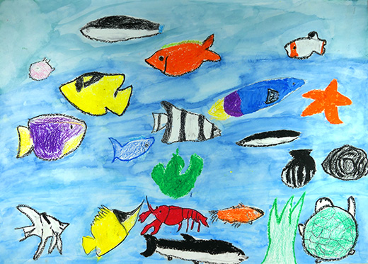 美しい生きもの