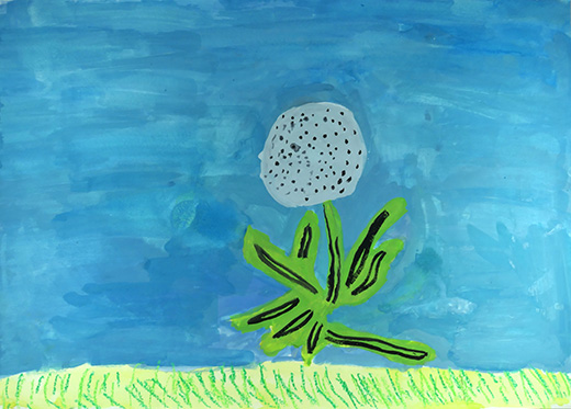 たんぽぽのわたげ