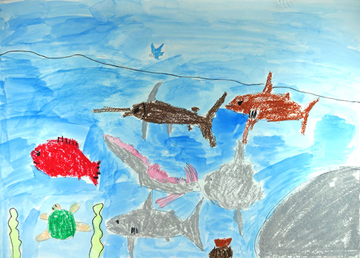 きれいなうみの世界