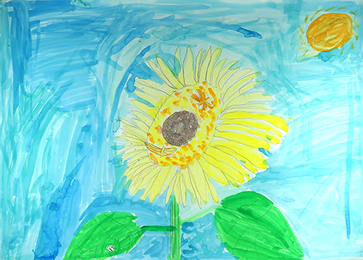 きれいなひまわり