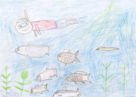 元気な魚と水草たち