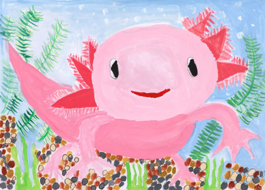 かわいいウーパールーパー