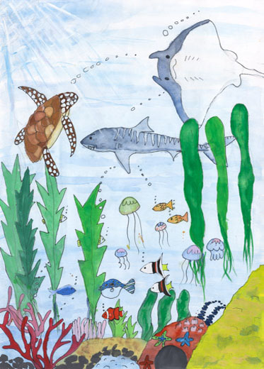 水がきれいな海