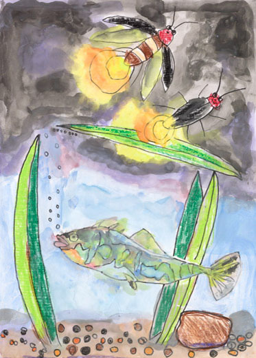 はりよの泳ぐ池とほたる