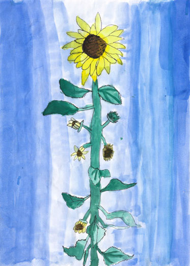 元気なひまわり