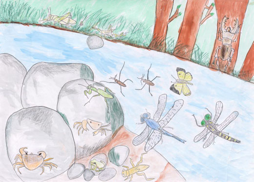 川で遊ぶ生き物