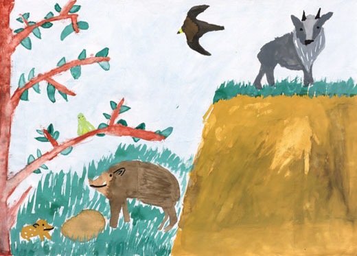 わたしが見た山の動物