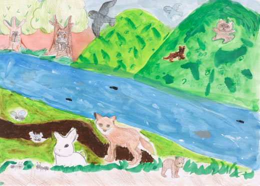 生き物と自然の触れ合い