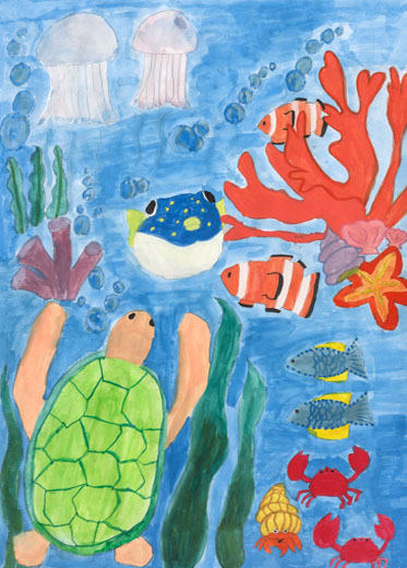 きれいな海で生きものたちも元気いっぱい