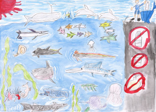 元気にくらす海の生きもの