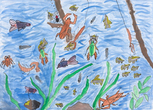 川のたからもの