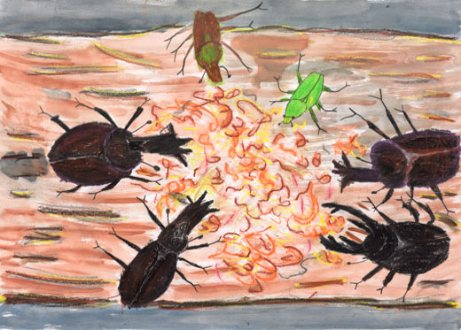 かぶとむしたちがあつまる木