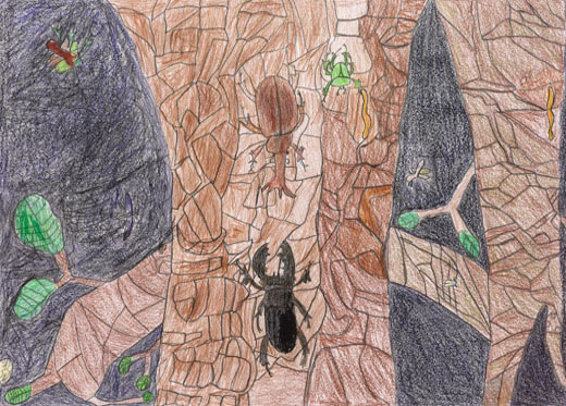 よなかのこんちゅうのくらし