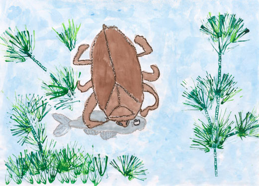 きれいな水にいるタガメ