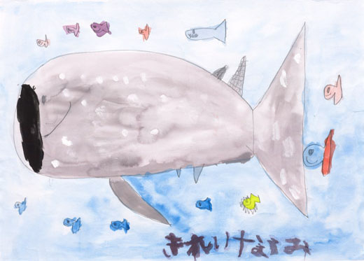 みんなと泳いでるジンベイザメ