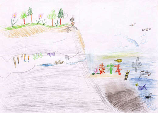 きれいな海と森の空気