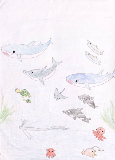海の生き物たち