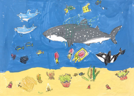 みんなに知っておきたい海