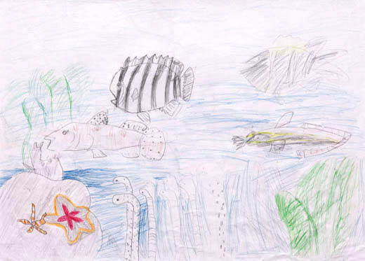 きれいな海と魚