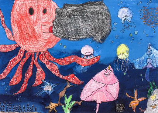 きれいな海で生き生きとすごす生きものたち