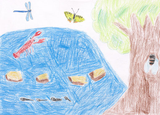 こうえんのいけ