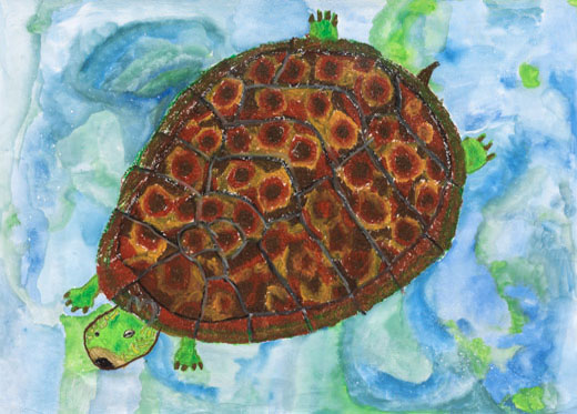 きれいな水をおよぐカメ