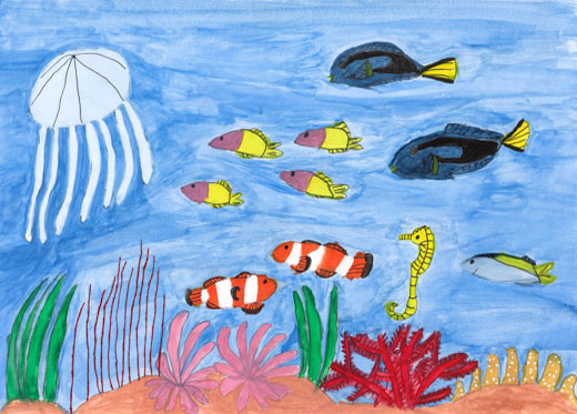 気もちのいい海でくらす生きものたち