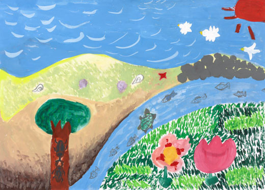 きれいがたくさん