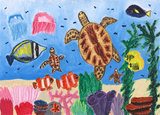 サンゴしょうの海