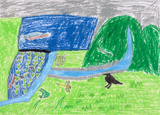 それぞれの場所で生きる生き物