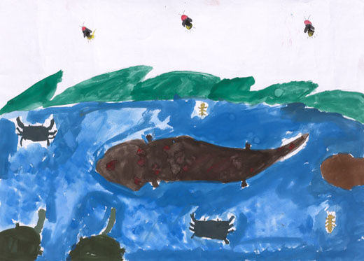 きれいな水が大好き！！