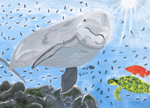 イルカの住む海