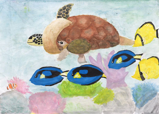 キレイなサンゴ礁