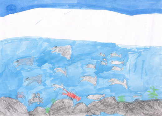 魚たちが泳いでいる様子