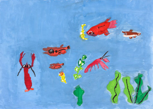 ザリガニとメダカの大ぼうけん