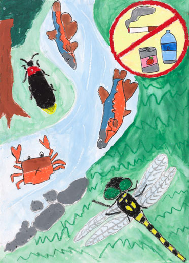 オニヤンマや、サワガニ、きれいな水で生きる生きものたち