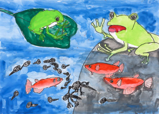 カエルくんのおともだち