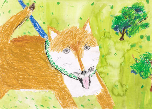 自然の中で元気に走り回る犬