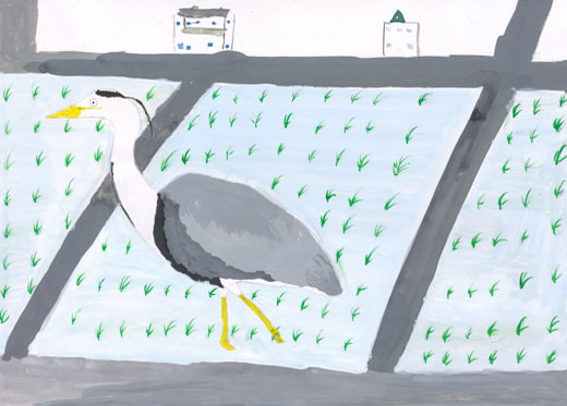 田にいるしらさぎ