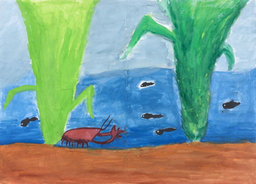 田んぼの生き物