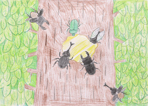 みつをすう昆虫たち