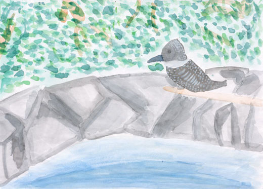 水辺のヤマセミ