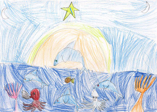 いるかとたいよう