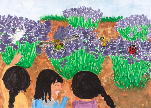 ラベンダーがいっぱい